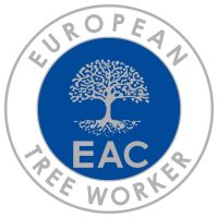 European tree worker in Trier